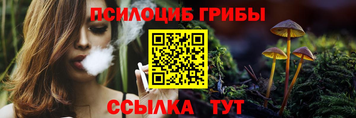 Псилоцибиновые грибы Psilocybine cubensis Десногорск